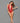 Halter Teddy - One Size - Red