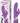 Ravishing Rabbit Purple