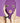 Subversion Mask Purple
