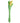Cloud 9 Spathe Lily Vibe Two-tone Green