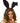 Leg Avenue Bendable Velvet Bunny Ears - Black - One Size