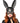 Leg Avenue Bondage Bunny Mask - Black - One Size