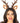 Leg Avenue Fawn Ear Antler Headband - Brown - One Size