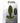 Selopa The Colonel Rechargeable Silicone Anal Plug - Green